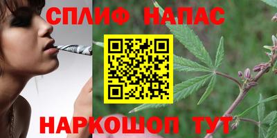 jwh Кимры