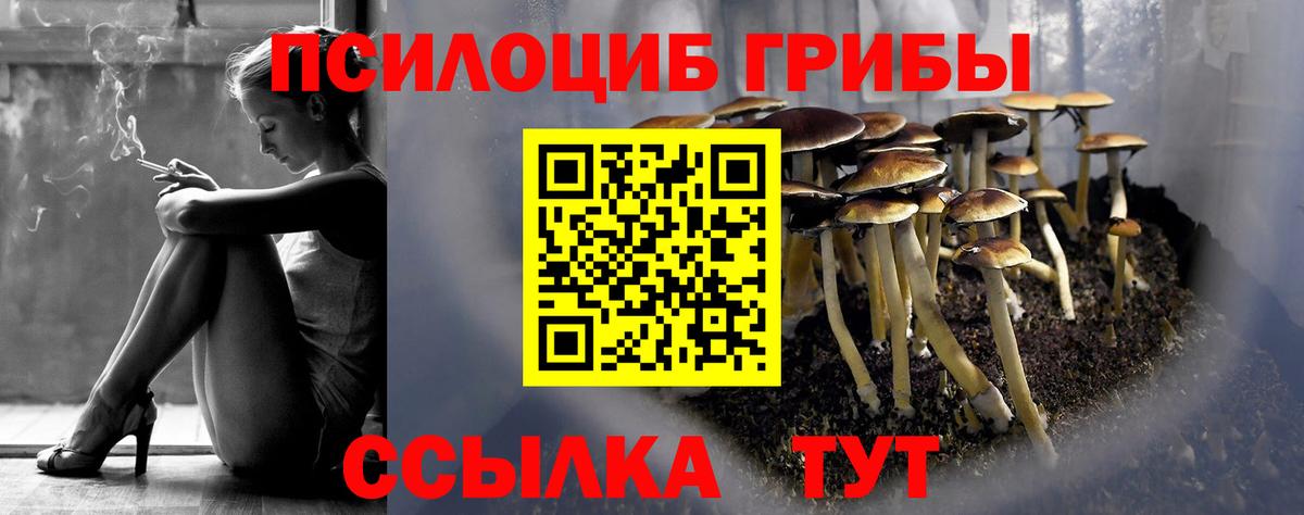 Галлюциногенные грибы ЛСД  Вход с VPN  Галлюциногенные грибы Psilocybine cubensis  Валуйки 
